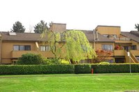 Marine Mews Photo