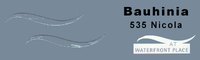 Bauhinia Logo