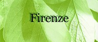 Firenze Tower I Logo
