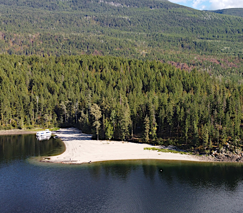 Aerial view of the sandy shoreline and forest at Anstey Arm