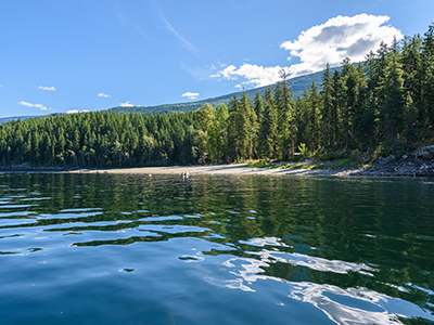 Calm shoreline at Pete Martin Bay