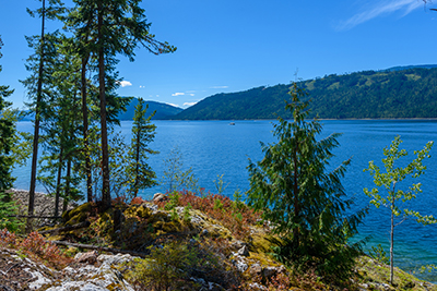 Shuswap Lake from the shoreline