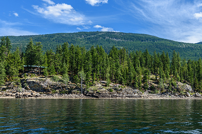 Forested shoreline
