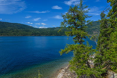 Lake view through the trees